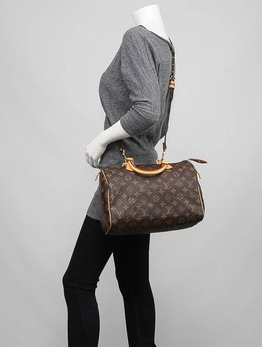 Louis Vuitton Speedy Handbag 397476