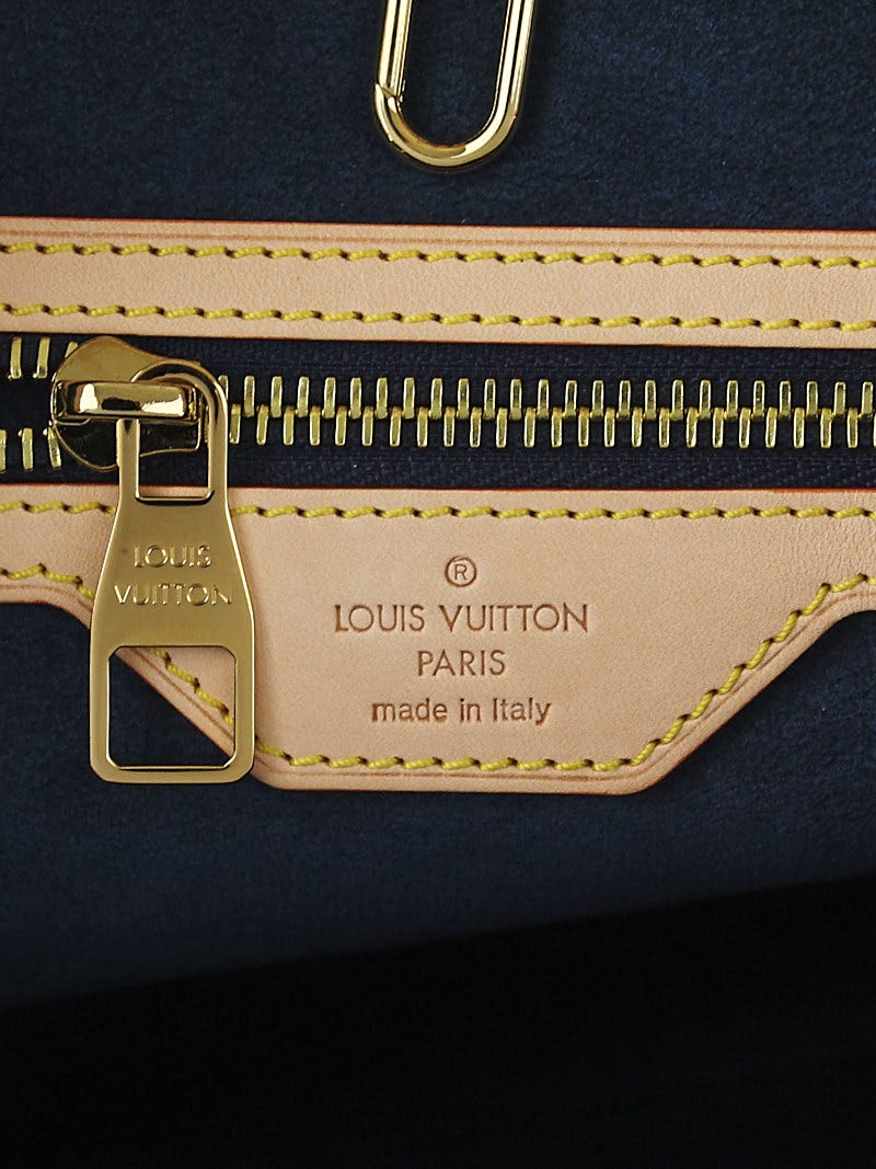 Louis Vuitton Monogram Denim Daily Gm - 2 For Sale on 1stDibs