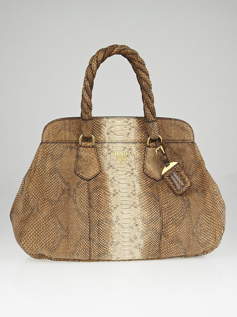 Prada Natural Python Frame Top Tote Bag BN1425 | Yoogi's Closet