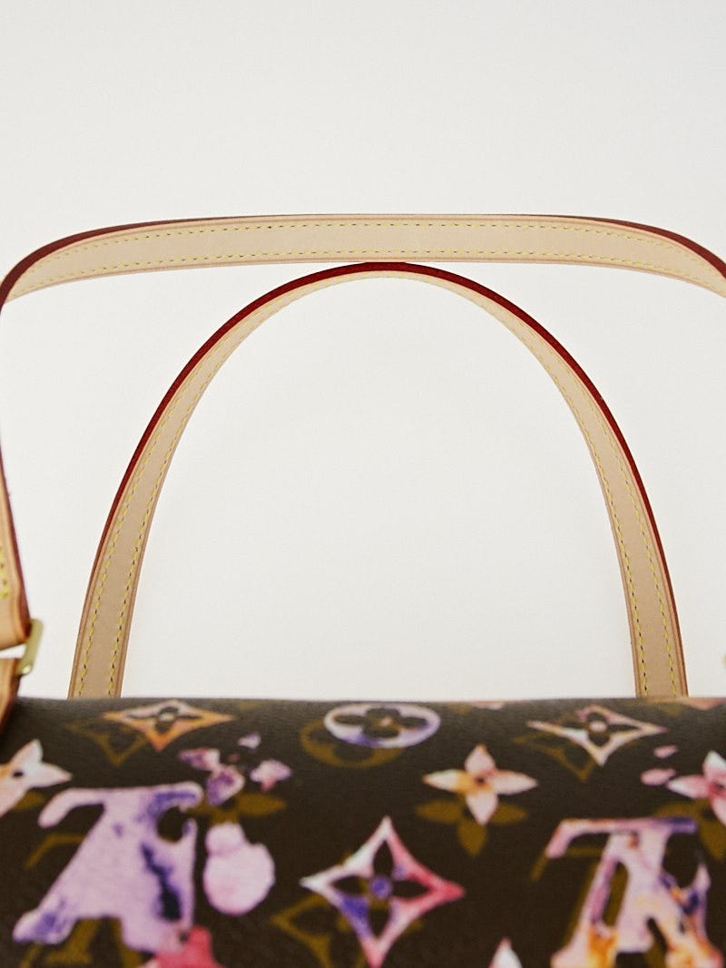 Louis Vuitton 2008 Pre-owned Papillon Monogram Watercolour Handbag - Brown