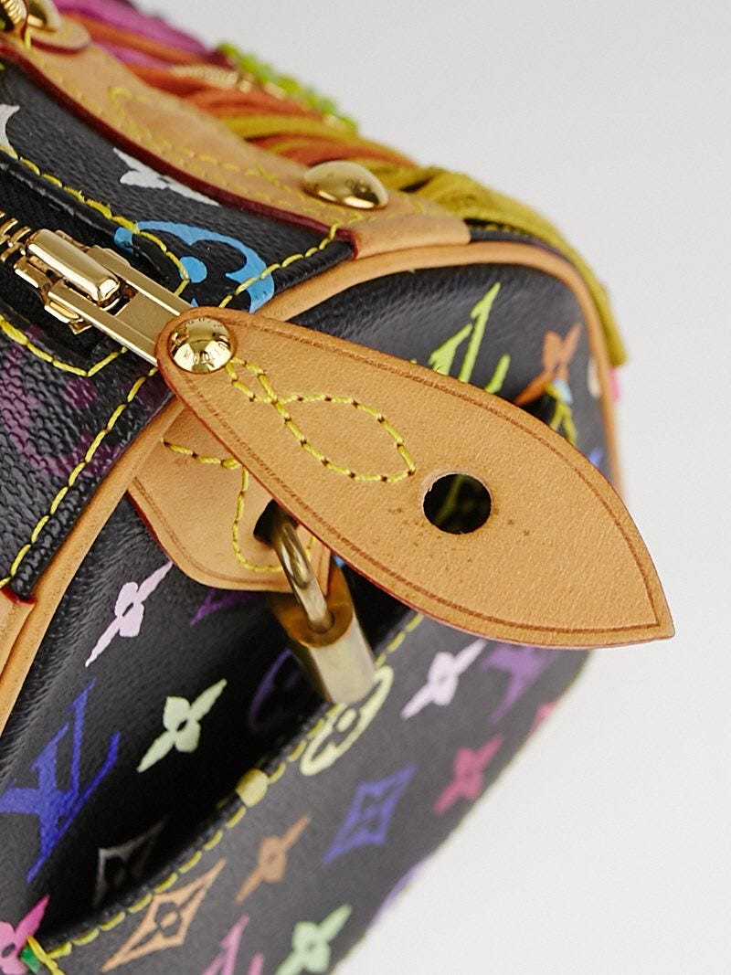 Louis Vuitton Speedy Handbag Limited Edition Multicolor Fringe 25 at  1stDibs