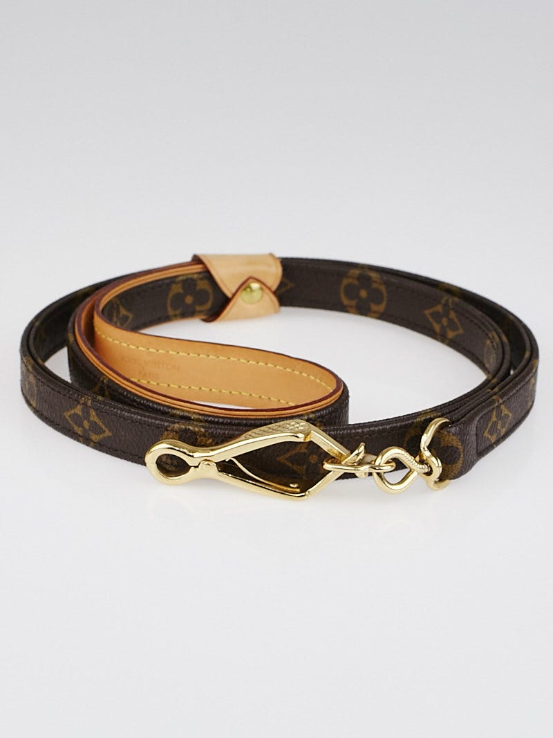 Baxter dog leash gm hot sale
