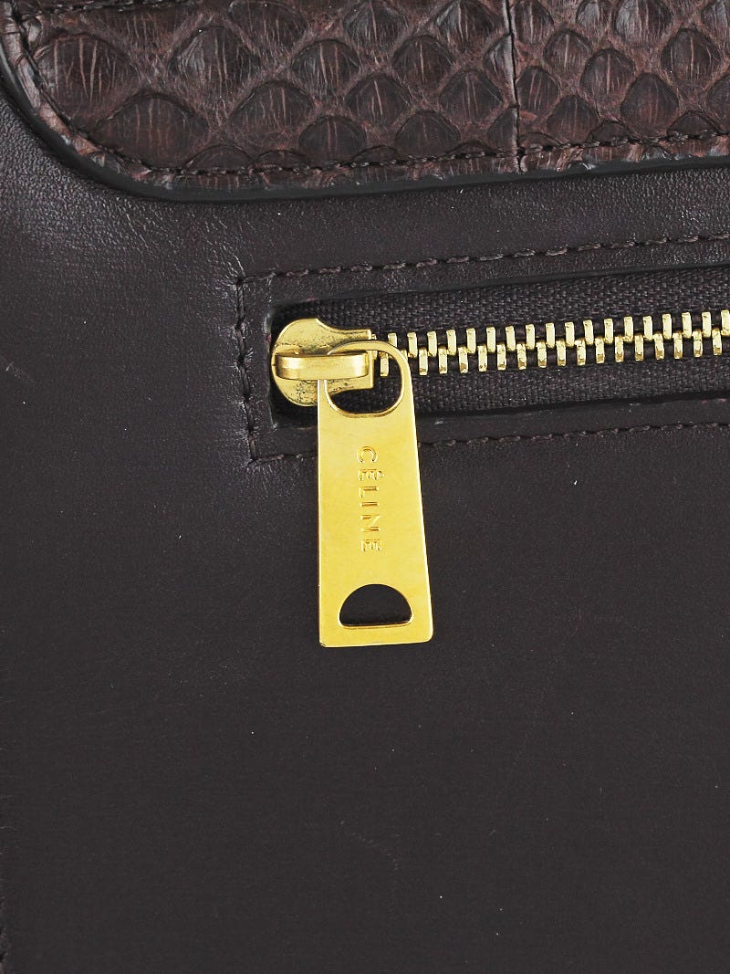 Celine Brown/Blue Python and Calfskin Leather Small Trapeze Bag