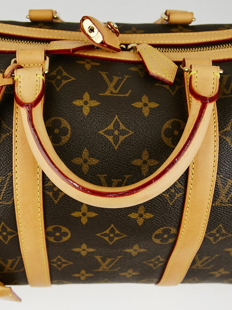 Louis Vuitton Limited Edition Monogram Canvas Sofia Coppola Bag