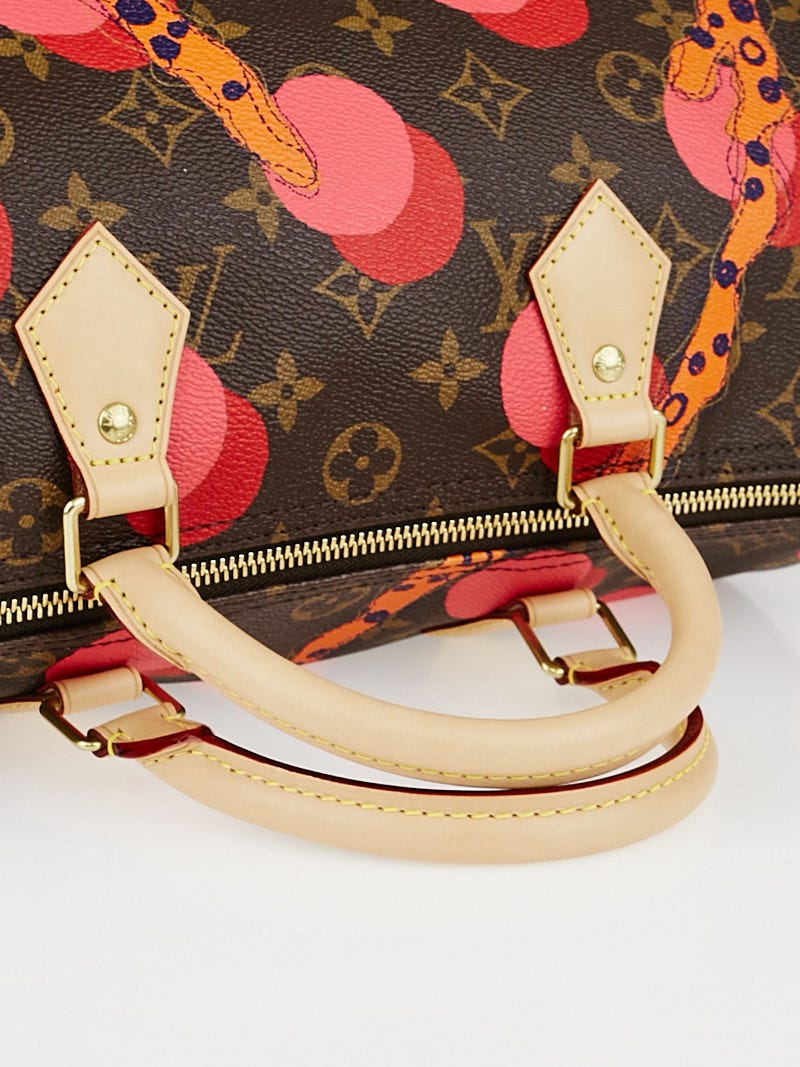 【希少】 LOUIS VUITTON LV Monogram Ramages Speedy 30 バッグ louis vuitton monogram canvas Ramages Speedy 30 at Jill's