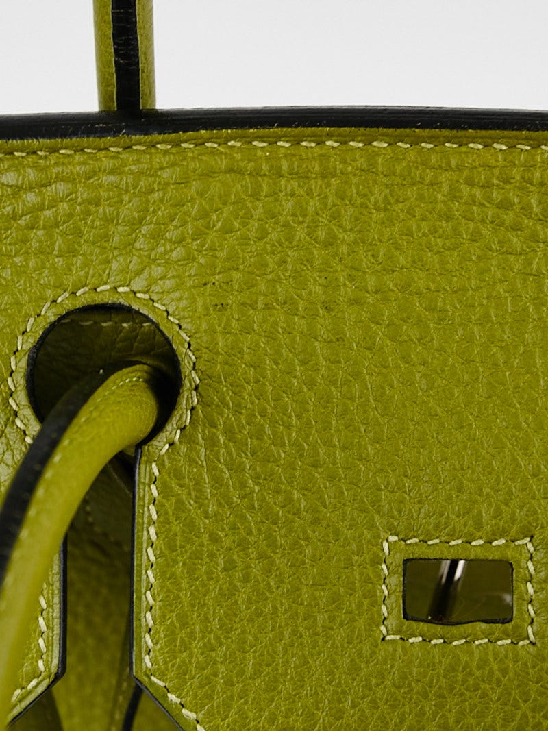 Hermes Birkin Handbag Vert Anis Togo with Palladium Hardware 35 at