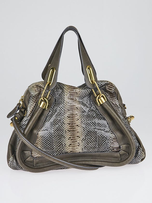 Chloe Brown Python and Leather Medium Paraty Bag