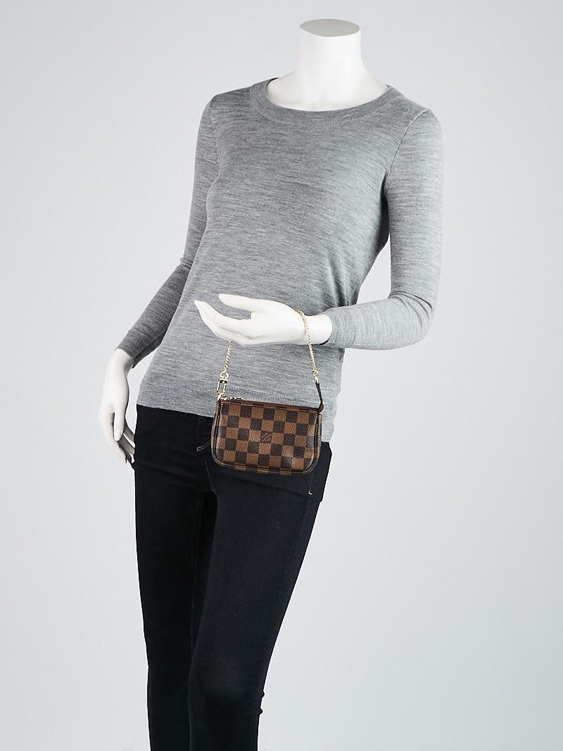 Louis Vuitton Damier Canvas Mini Accessories Pochette Bag