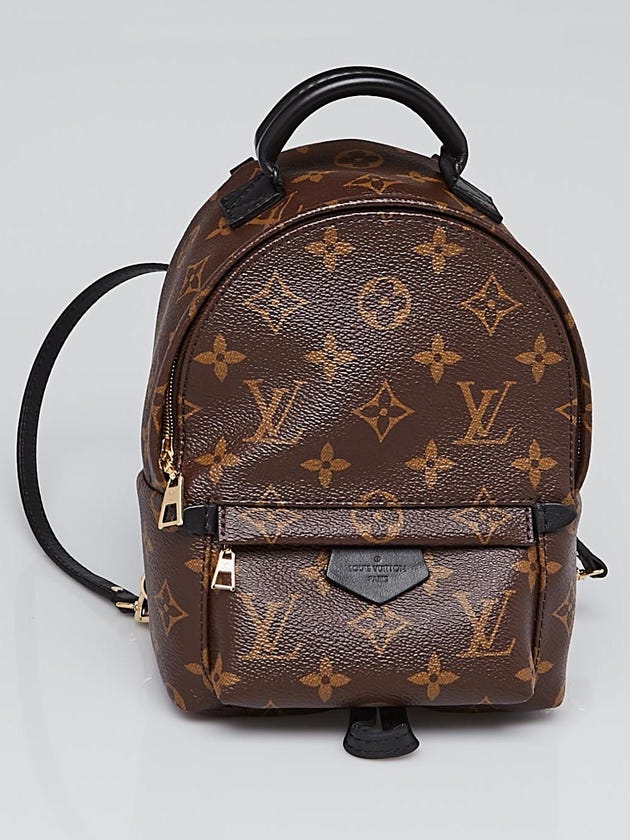 Louis Vuitton Monogram Canvas Palm Springs Backpack Mini Bag
