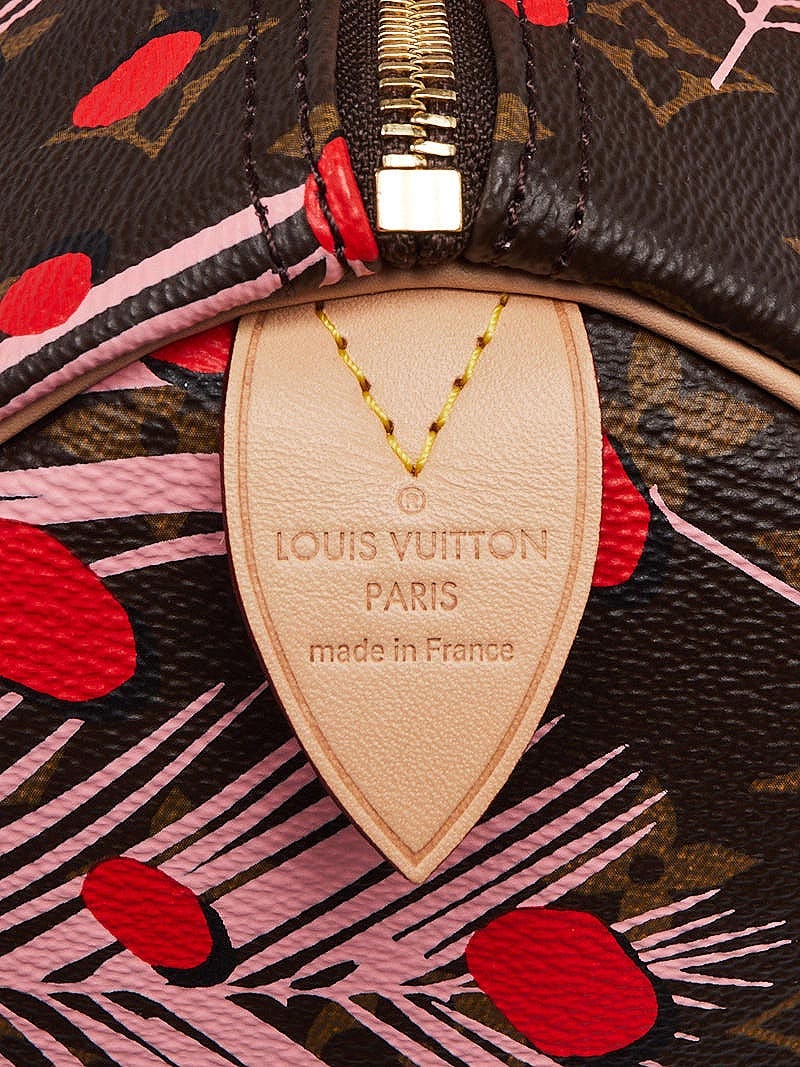 Louis Vuitton Limited Edition Monogram Canvas Jungle Dots Palm
