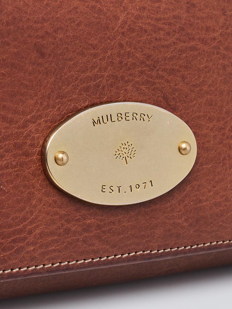Mulberry Plaque Purse Small Review - YouTube
