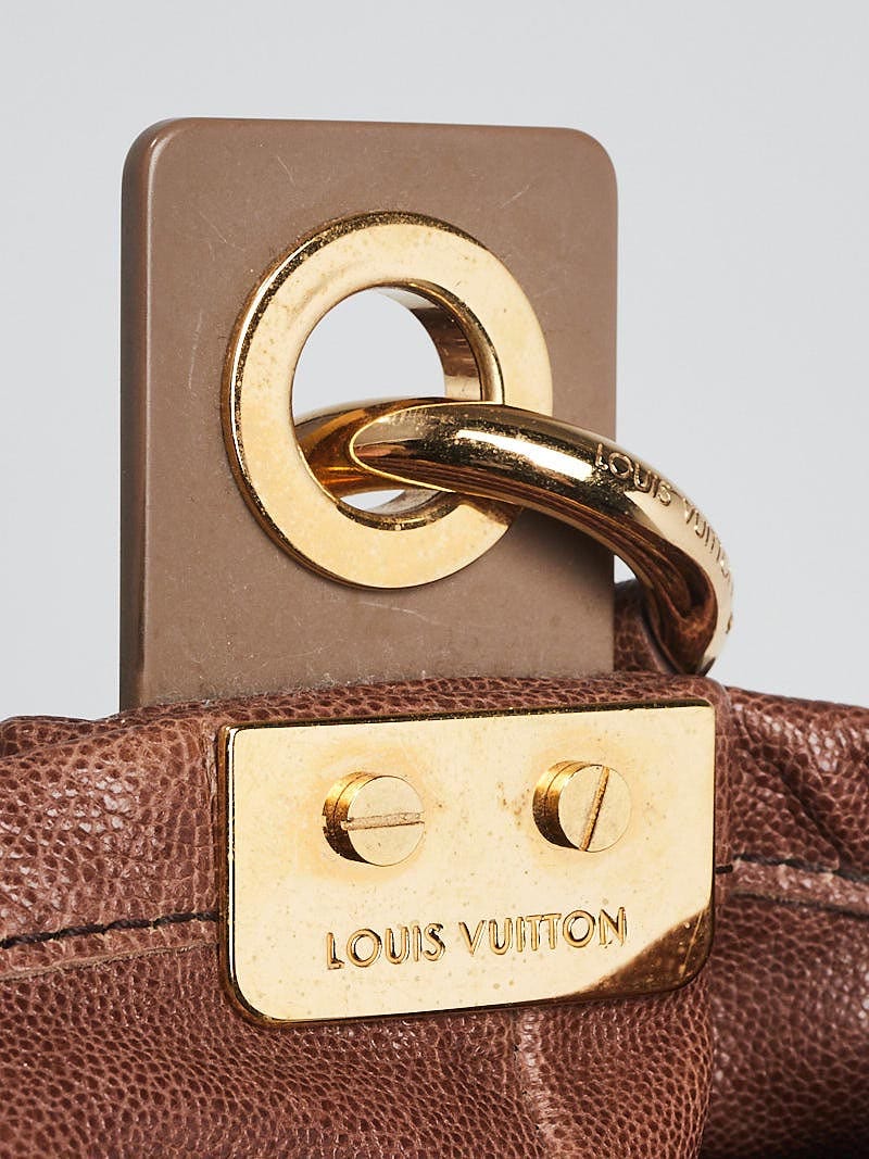 Louis Vuitton Brown Suede x Patent Irene Coco Hobo Bag 67lk322s