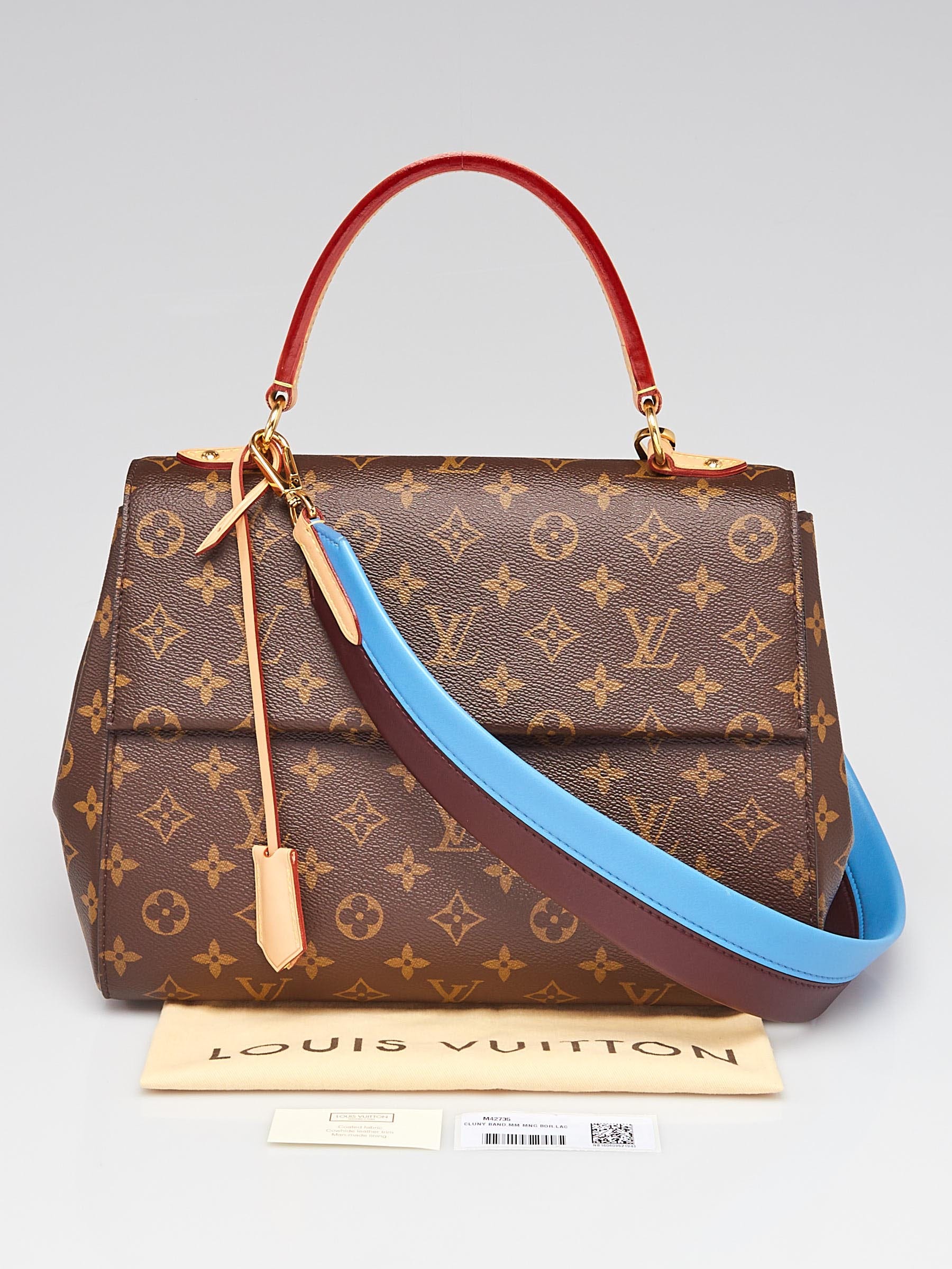Louis Vuitton Cluny BB  Doluxury