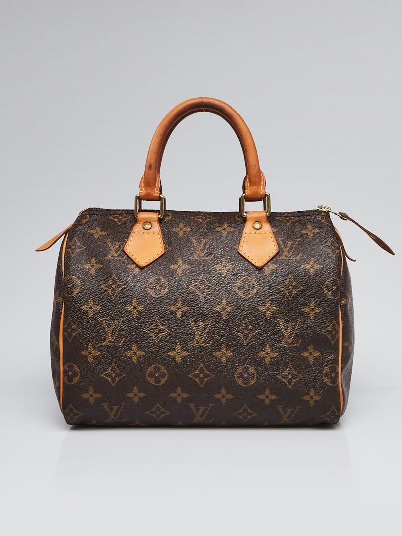 Louis Vuitton 2006 pre-owned Speedy 25 handbag