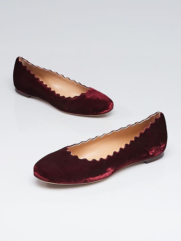 Chloe Bordeaux Velvet Lauren Scalloped Ballet Flats Size 8/38.5