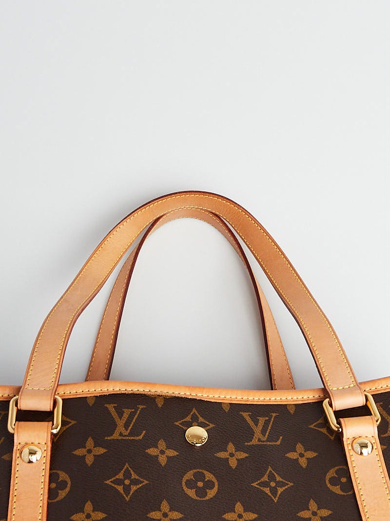 Louis Vuitton Never Full (turned into dog carrier)