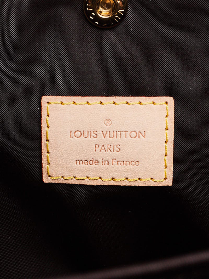 Authentic Louis Vuitton Sack Baxter GM Monogram Pet Carrier Unisex Bag  M42028