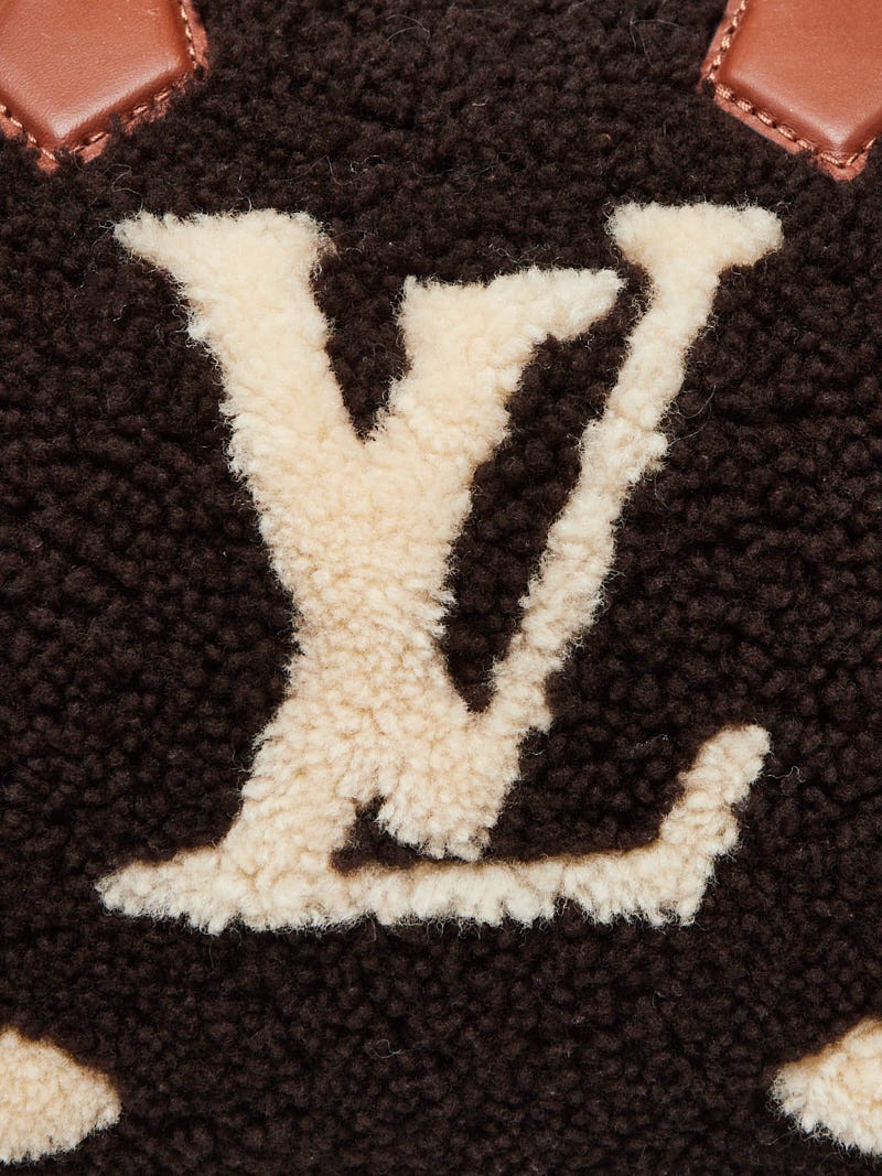 Louis Vuitton Monogram Teddy Shearling Speedy Bandoulière 25 — BLOGGER  ARMOIRE