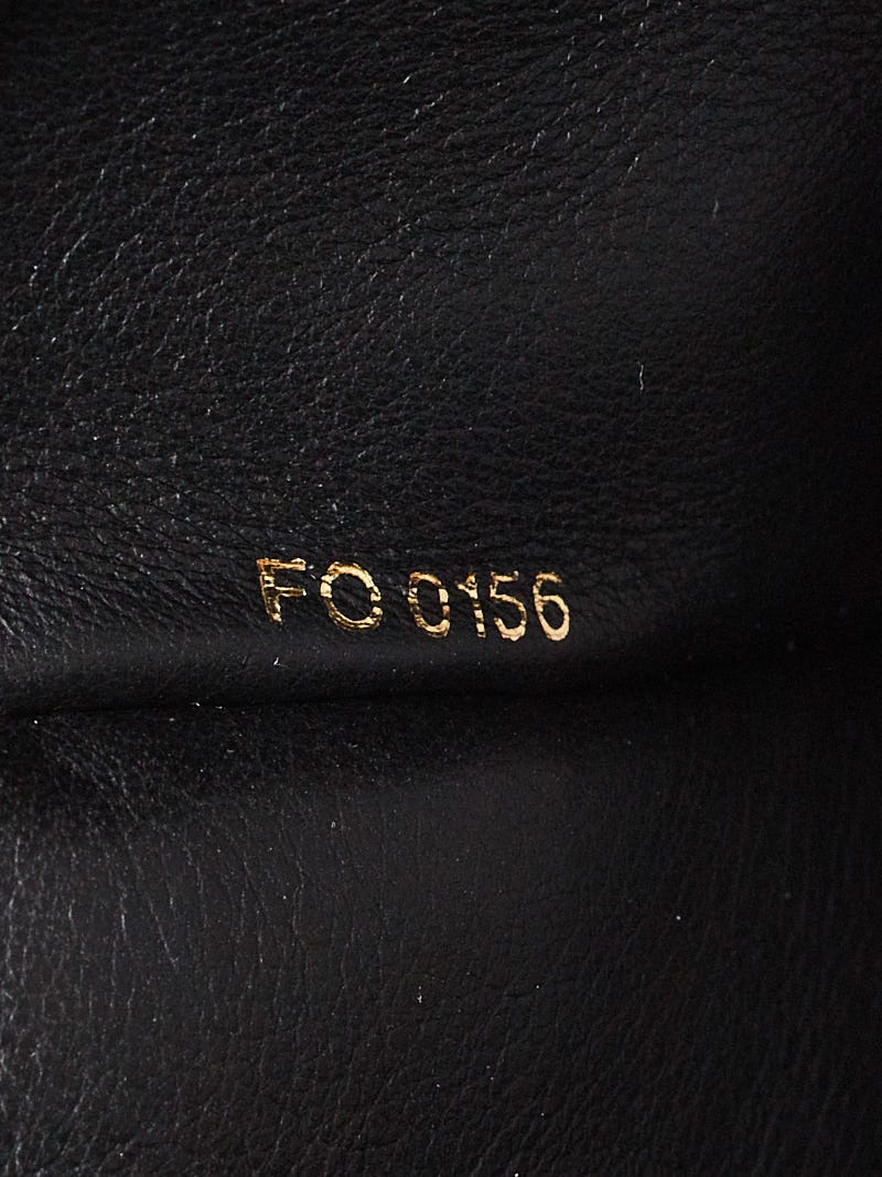 Louis Vuitton Python/Black Calfskin Leather City Steamer PM Bag - Yoogi's  Closet