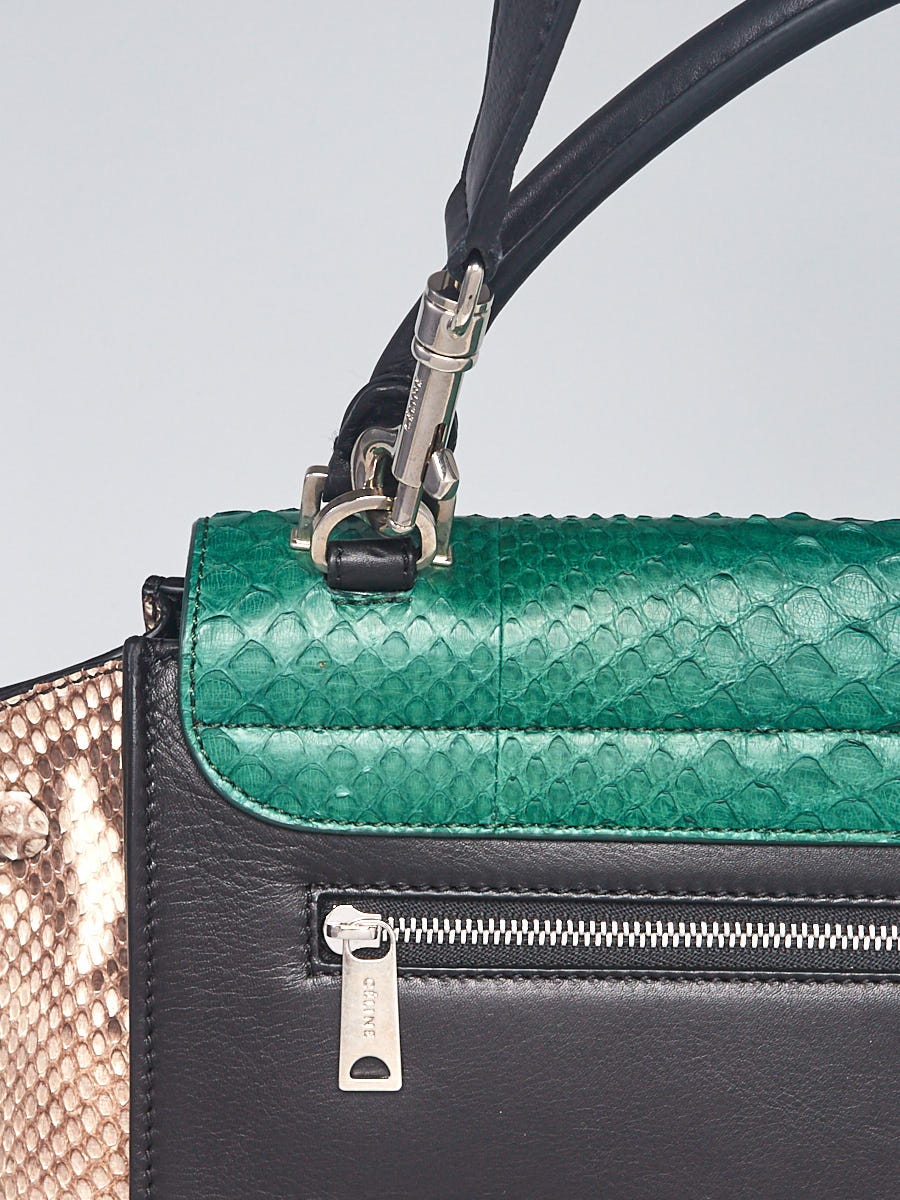 Trio python handbag Celine Beige in Python - 42741396