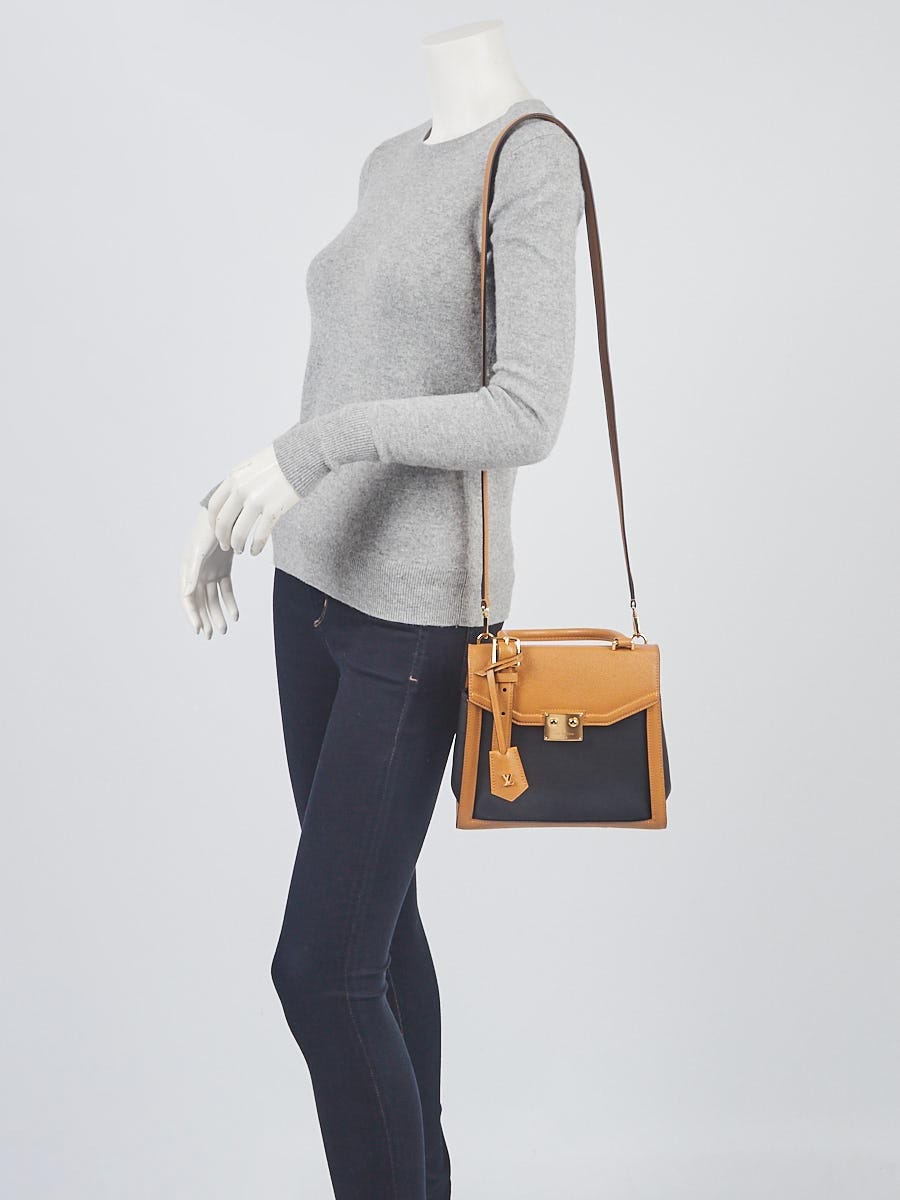The Louis Vuitton LV Arch Bag