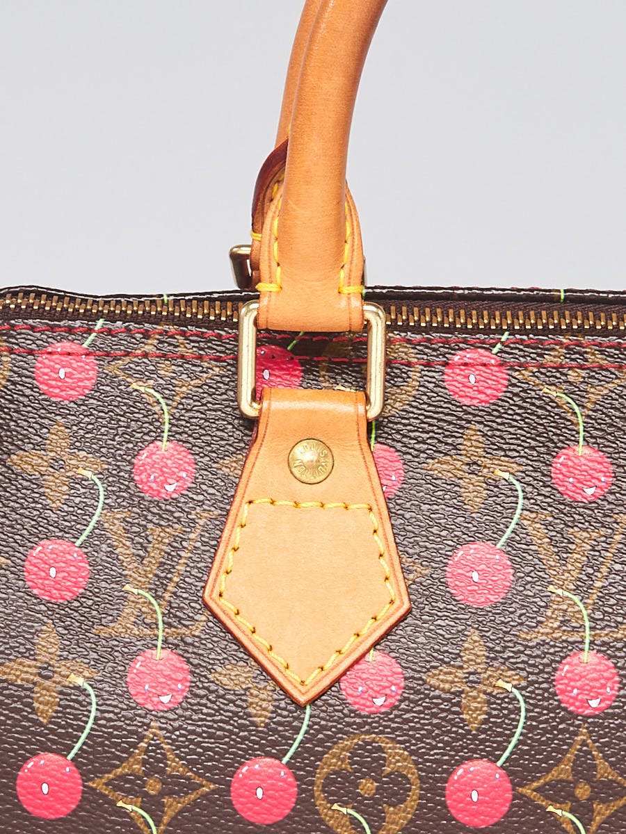 Louis Vuitton monogram coated canvas speedy 30 bag - Labels Most Wanted