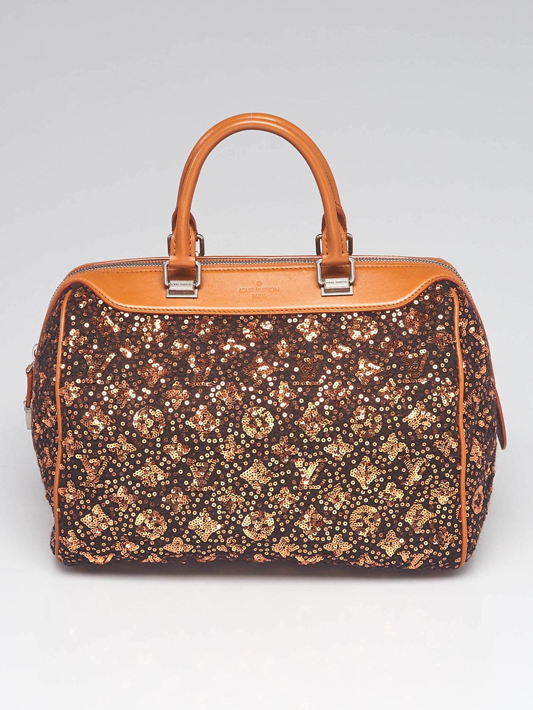 Louis Vuitton pre-owned Sunshine Express Speedy tote bag - Brown