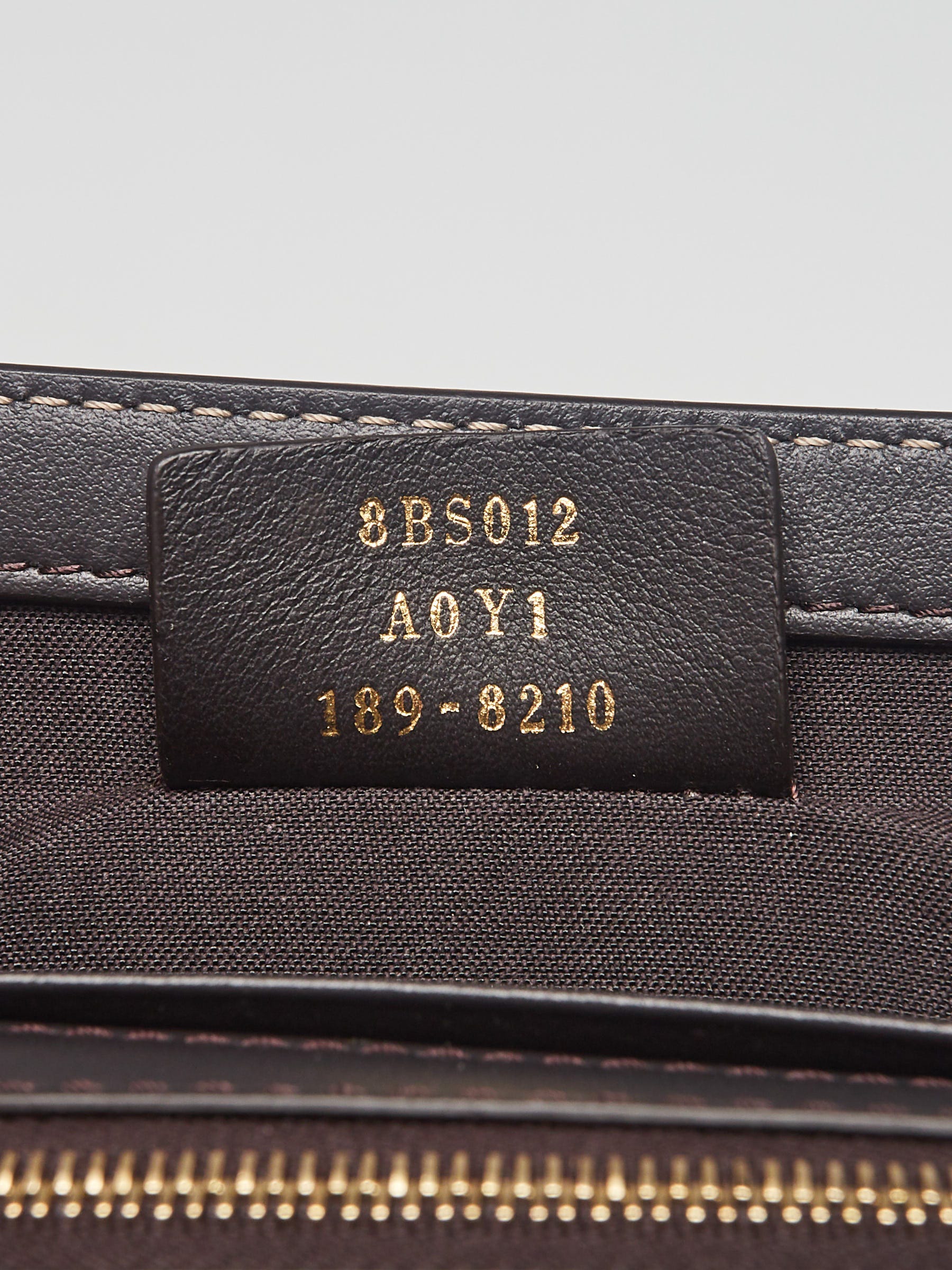 Fendi Gold Leather Wallet On Chain Bag 8BS012 | Yoogi's Closet