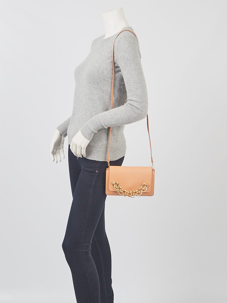 Chloe Blushy Pink Leather Drew Bijou Clutch Crossbody Bag