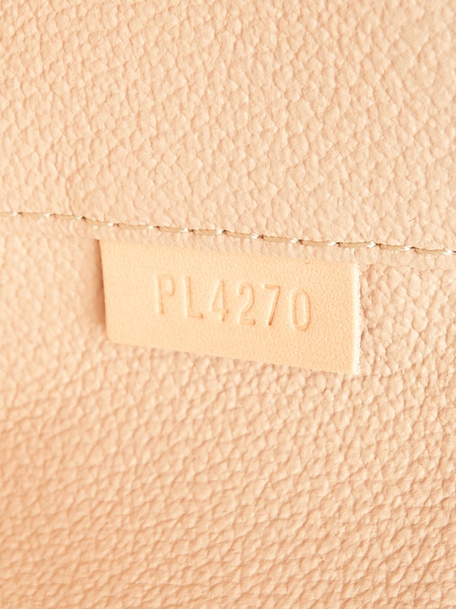 Louis Vuitton Brown Monogram Nice Nano Vanity Case w/Confidential Band –  The Closet