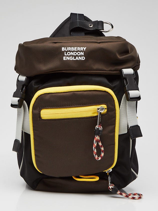 Burberry Brown/Black Nylon Leo Belt Pouch Crossbody Bag