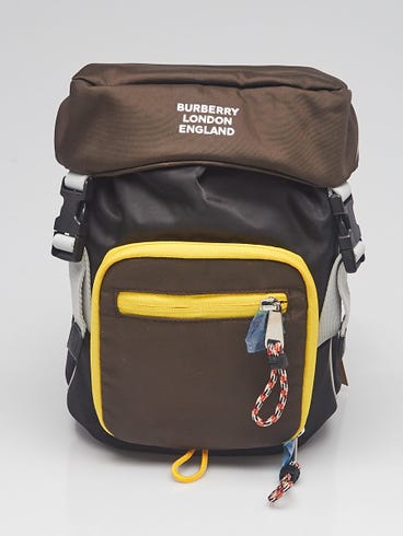 Burberry Brown/Black Nylon Leo Belt Pouch Crossbody Bag