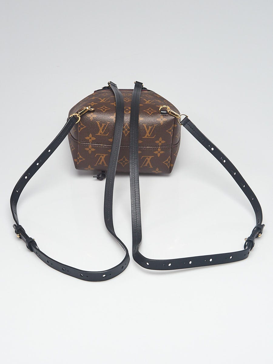Louis Vuitton Monogram Coated Canvas and Black Vernis Hot Springs Backpack  Bag - Yoogi's Closet