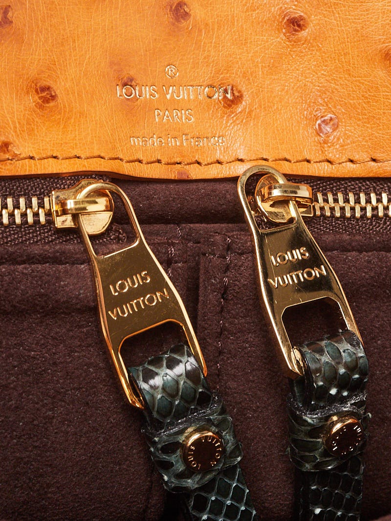 Louis Vuitton pre-owned Etoile Exotique Tote Bag - Farfetch