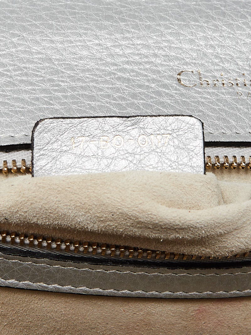 Christian Dior Diorama Bag in Silver Leather — UFO No More