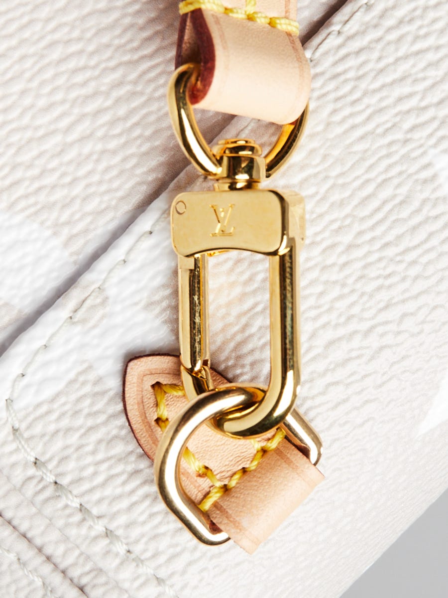 Louis Vuitton Limited Edition Brume Monogram Giant Canvas By The