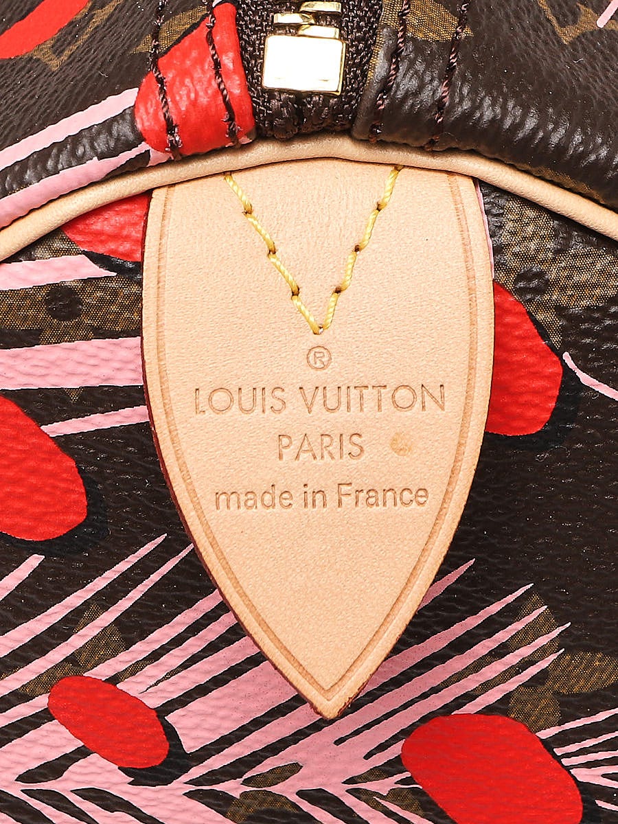 Louis Vuitton Limited Edition Monogram Canvas Jungle Dots Palm Springs –  Reeluxs Luxury