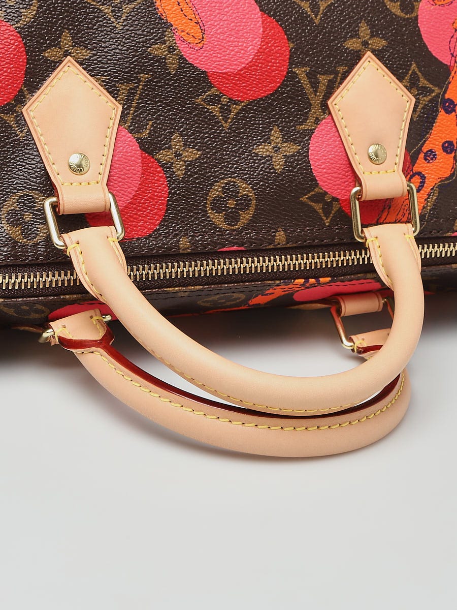 Louis Vuitton Limited Edition Grenade Ramages Speedy 30 Bag