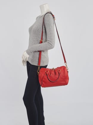 Louis Vuitton Speedy 25 Bandouliere Bag Bicolor Monogram Empreinte Giant -  Tabita Bags – Tabita Bags with Love