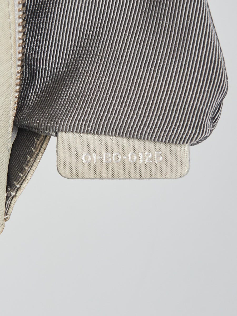 Dior Diorama Silver calf leather Medium Bag Silvery ref.221270 - Joli Closet
