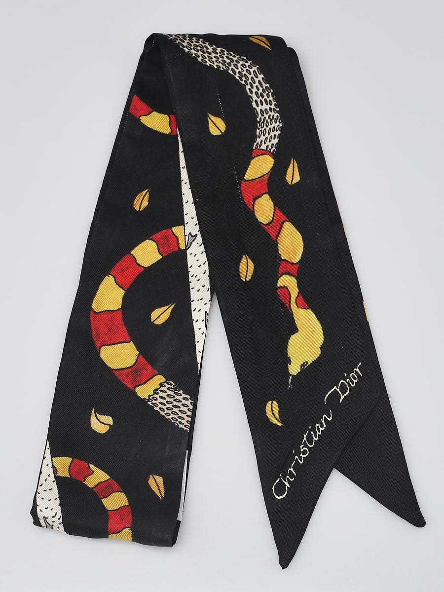 Dior Authenticated Silk Scarf