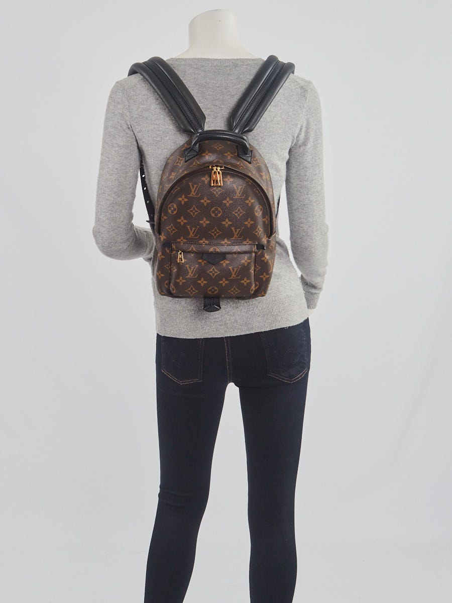 Palm Springs Mini  Louis vuitton backpack mini, Vuitton outfit, Mini backpack  outfit