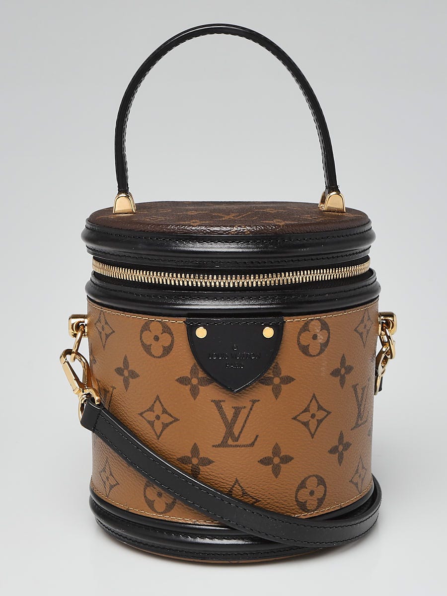 Louis Vuitton Cannes Vanity Bag(Brown)