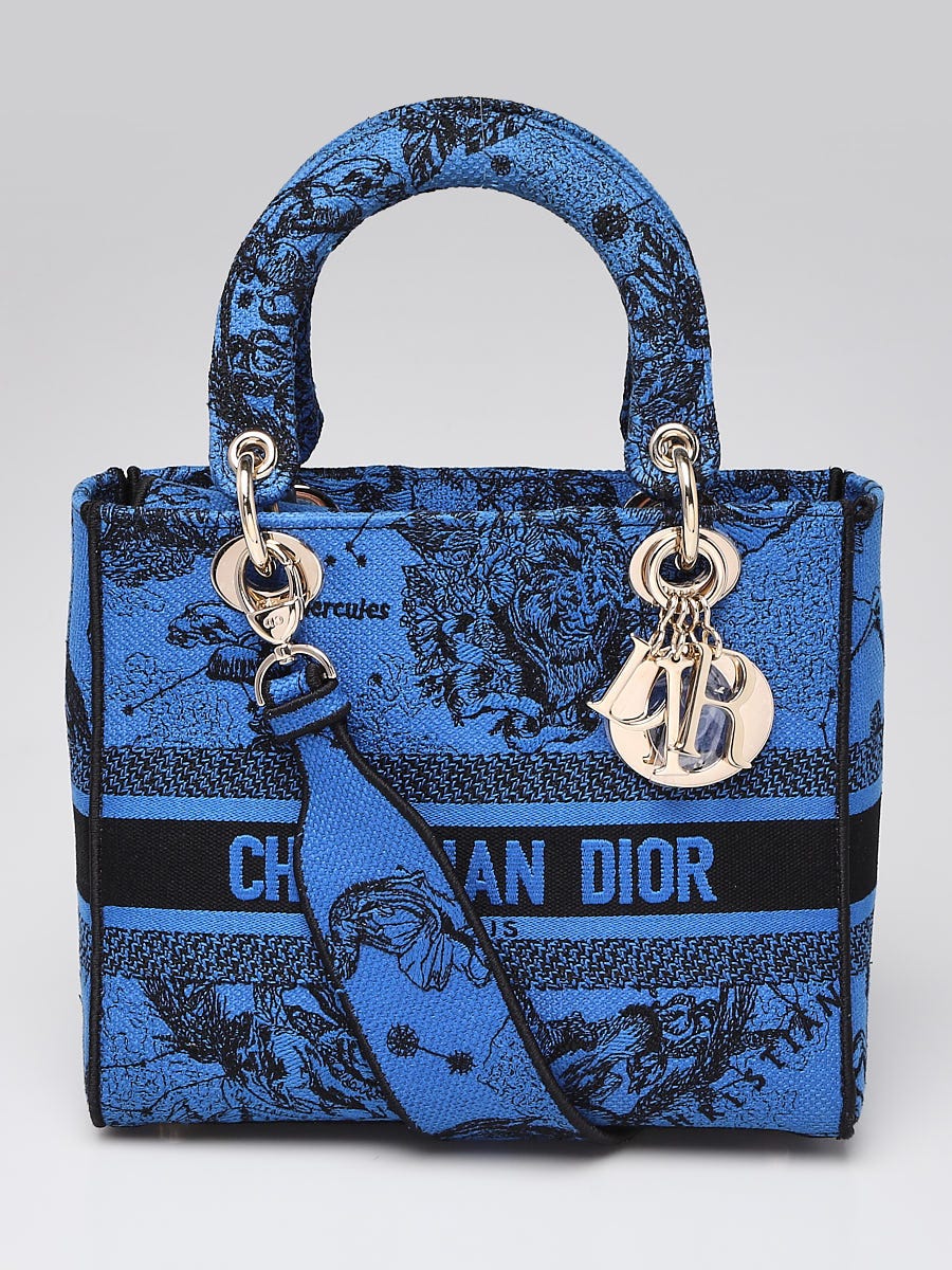 Medium Lady DLite Bag Gray Cannage Embroidery  DIOR DK