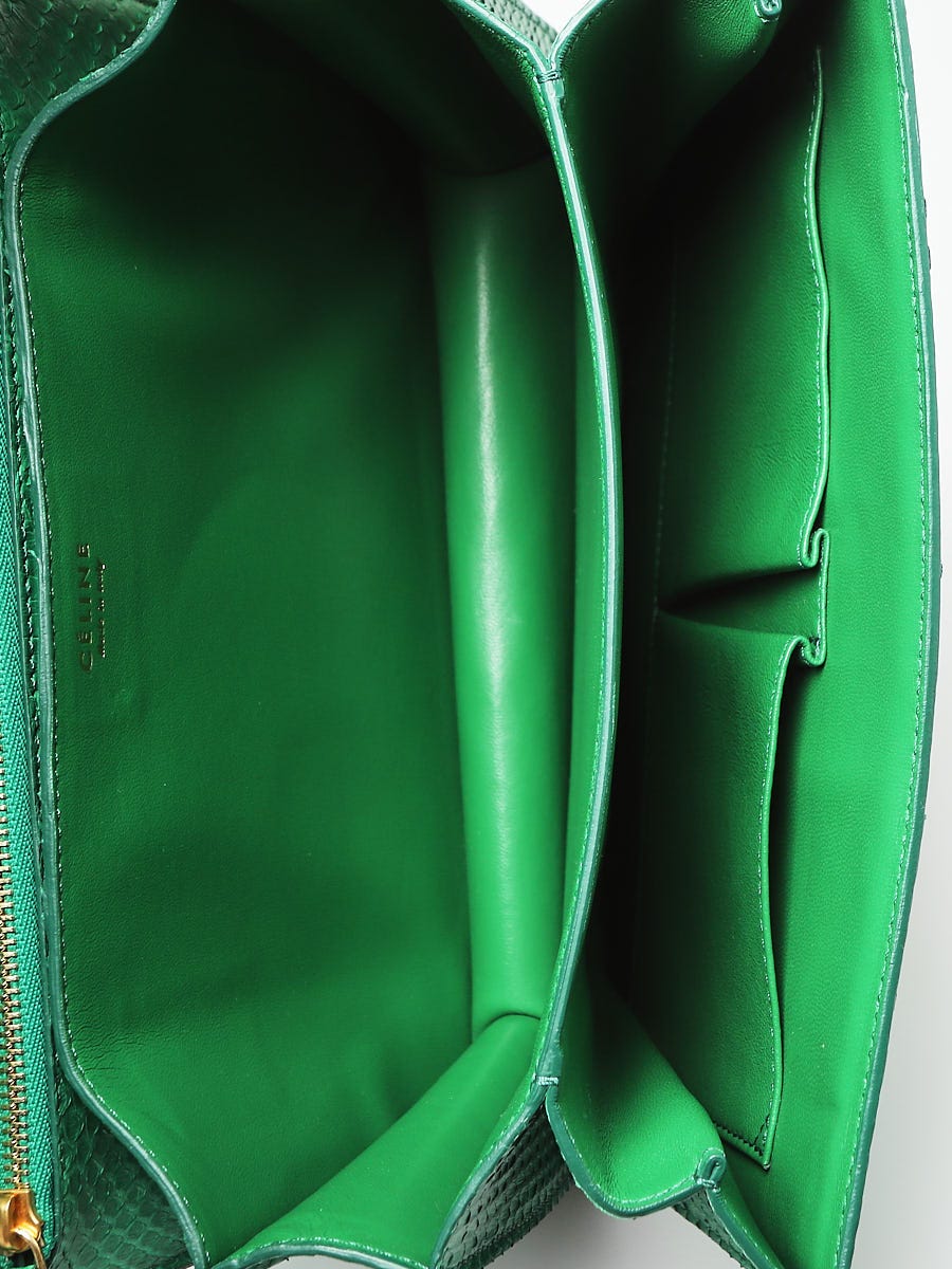 Celine Green Python Medium Classic Box Shoulder Bag - ShopStyle