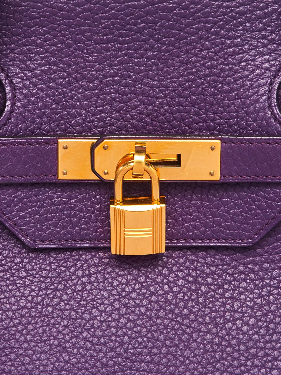 Hermes Birkin Bag Togo Leather Gold Hardware In Purple