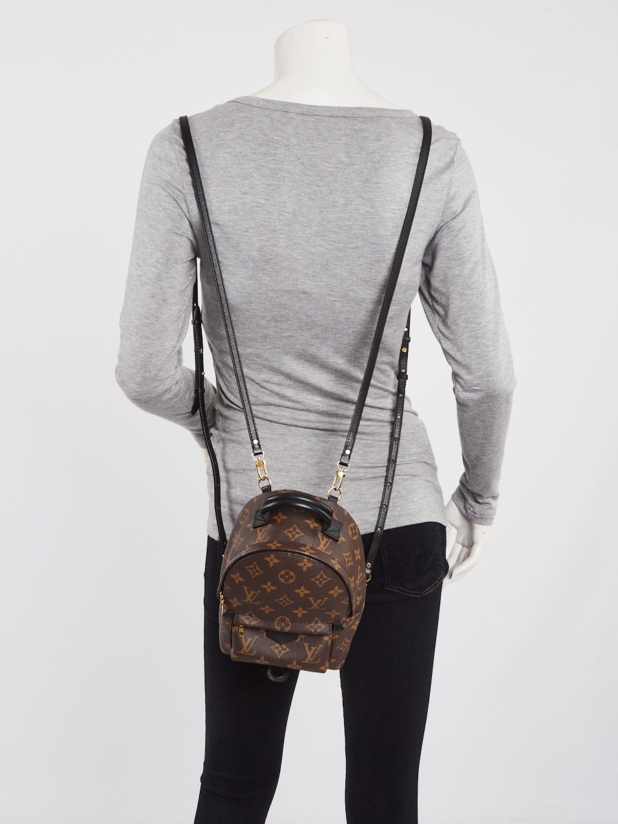 Palm Springs Backpack Mini, Rent Louis Vuitton Handbag