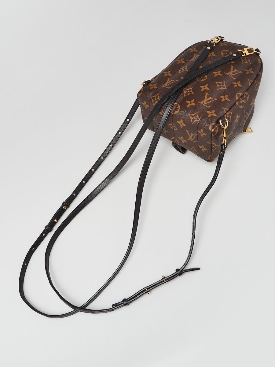Louis Vuitton Monogram Palm Springs Backpack - dress. Raleigh