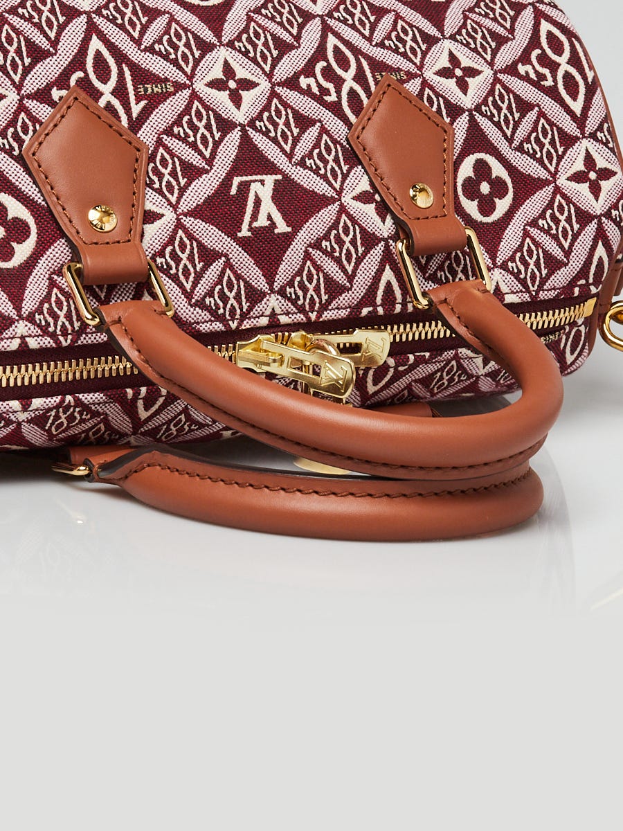 Louis Vuitton Catogram Speedy Bandouliére 30 - Brown Handle Bags