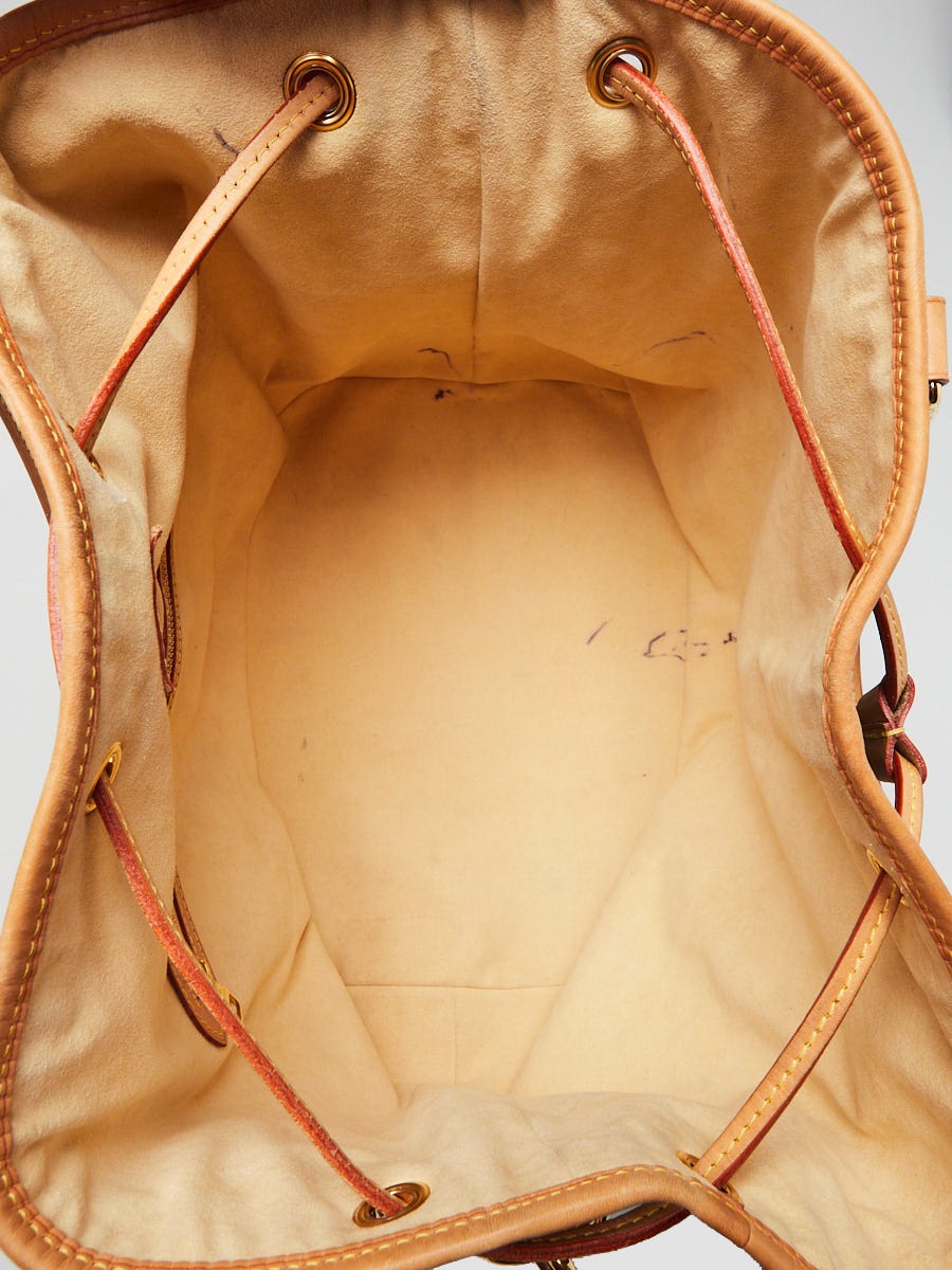 Limited Edition LV Noe 30 Shoulder Bag in Metallic Stripes